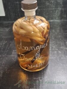 Le Meilleur Rhum Arrangé Mangue Vanille : Les Secrets pour un goût Intense